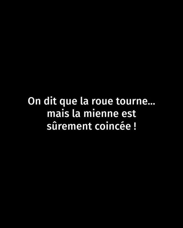 img_1_1752498486977.jpg