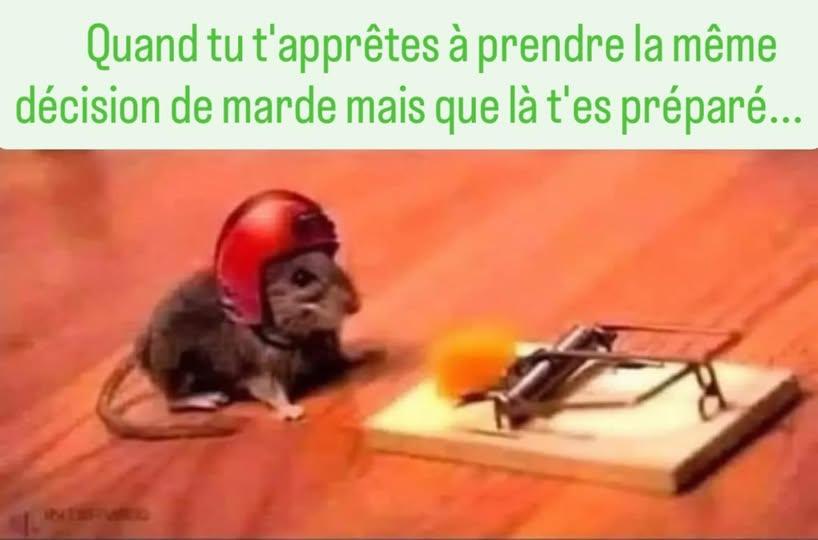 524990750_10162813882589373_2591422985057995015_n.jpg.6c5ebc6987f615e0542f9f62a87a4175.jpg