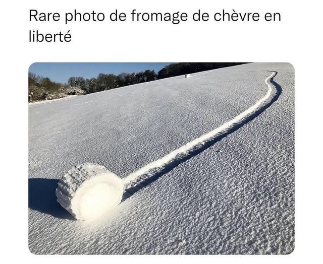 533065978_754636867310031_5713665696672435977_n.jpg.79f1645498f54de652cb3c94a1957c90.jpg