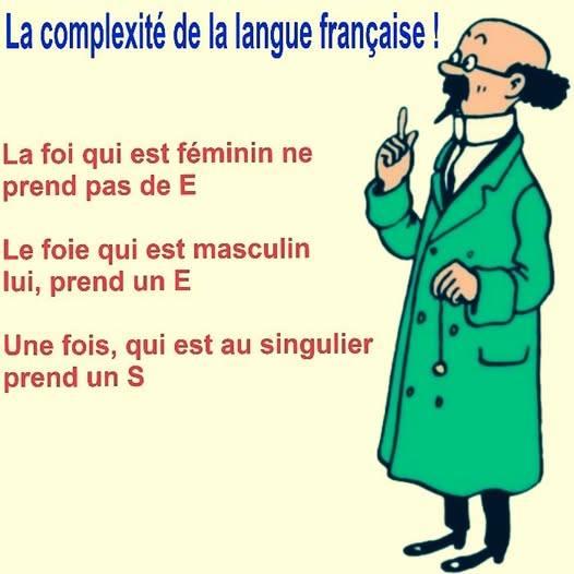 535563057_1218933173605623_5681106980439948921_n.jpg.62d2fabc62dfdddf4e8cc173cff1e097.jpg