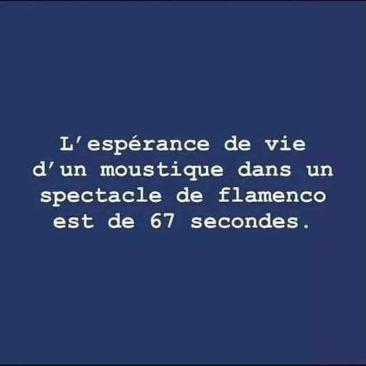 535661882_10229008695393385_5822108739272259289_n.jpg.8be282f060ca54d7ee303fee487e29c5.jpg