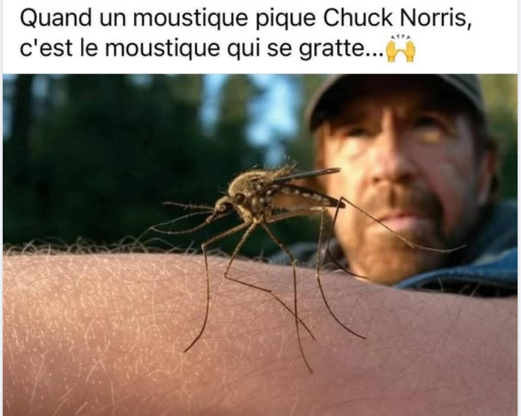 Capturedcran2025-08-05160806.png.bf68bf0fc51bff018df6b0d0df024796.png