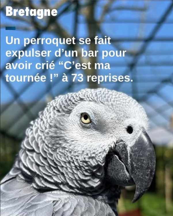 Capturedcran2025-08-16171747.thumb.png.ccbac6469923e998294aeb495609b4a8.png