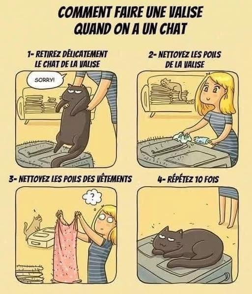 zzzzzzzzzzzzzzz.jpg.407ad9fa1bd049ead2a6f5576d72ede4.jpg
