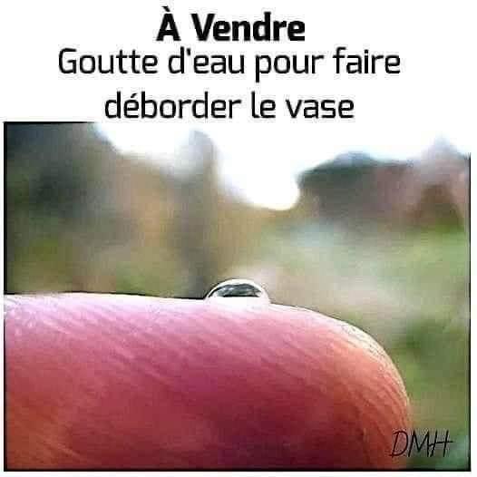 545412740_799699039303499_5814085521425093931_n.jpg.292fda0fe5587b6df7def72cf25bcd35.jpg