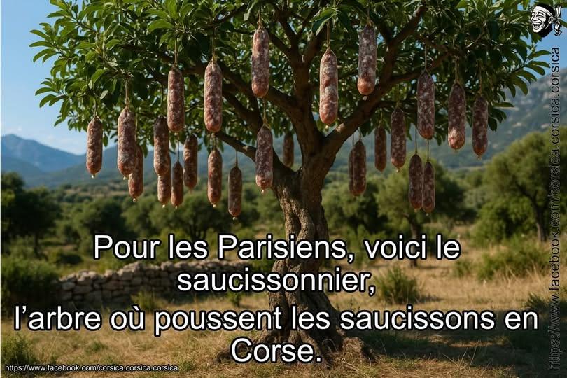 548030044_1273241014483512_8827966382931898333_n.jpg.8274a347aacf24a7e10084242cac2f65.jpg