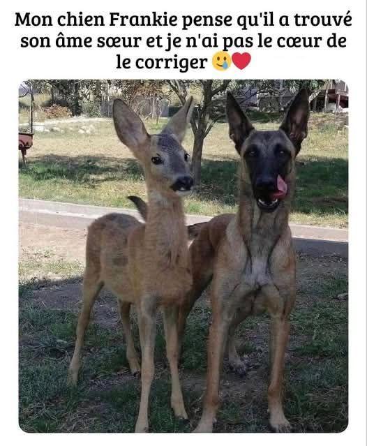 548203351_122235754070177938_3707758485096953681_n.jpg.fcb5edea2c87945ef9bbb322470b5fd7.jpg