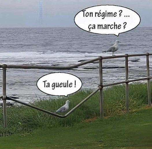 image.jpeg.4daa5fc0d3752ef88f0b2aa2791b56a5.jpeg