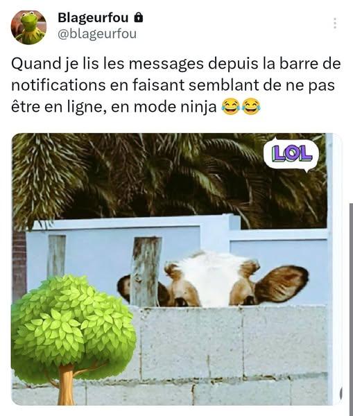image.jpeg.c9a42a57eb2de6ac35a95d1b3aaaba1a.jpeg
