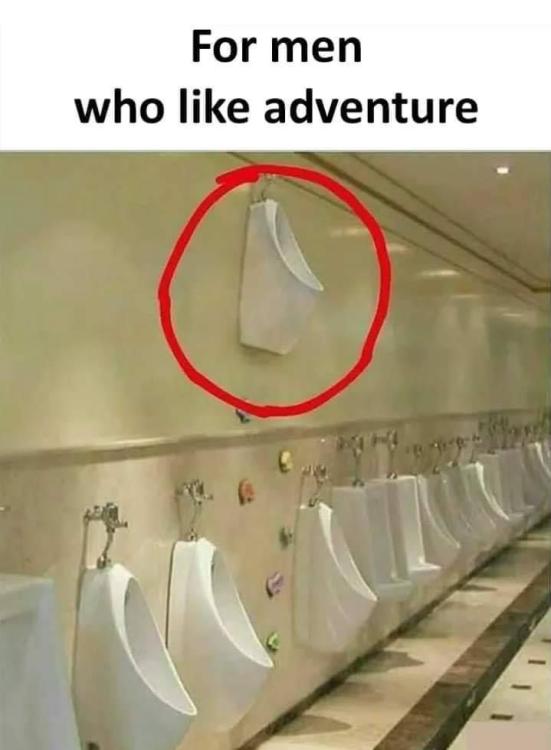 image.thumb.jpeg.f85cc9d80b87f2b4d9b6bcf2d50c3356.jpeg