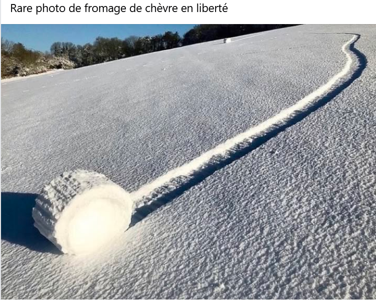 Capturedcran2025-10-01134610.png.812889962d08a43aff2719bb63078e44.png