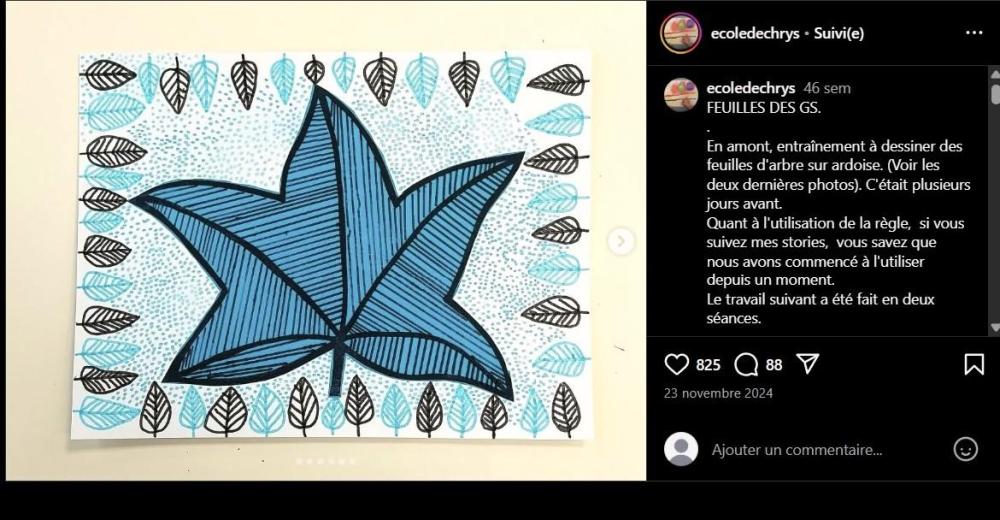 algo graphisme feuilles.jpg