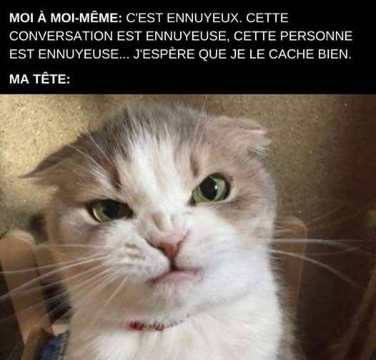 image.jpeg.1584a096db63173daddfee75c3650e33.jpeg