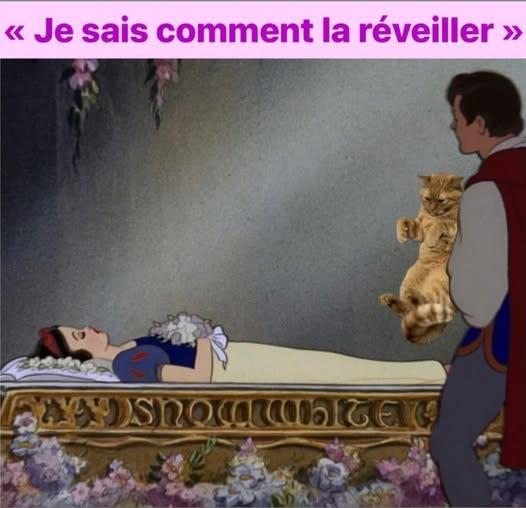 image.jpeg.3f6e97f1be5ce2bd634607713e6b9cbc.jpeg