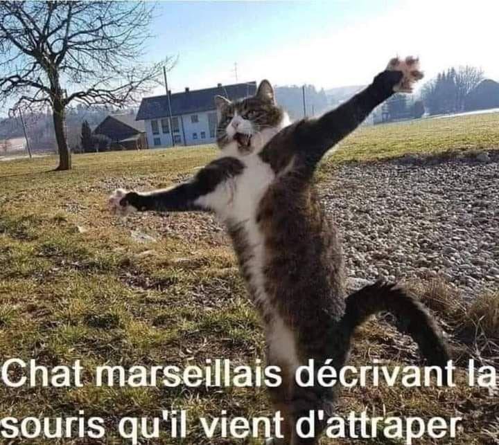 image.jpeg.5a2fba29ea181f3e0008a3b3a6fe26f4.jpeg