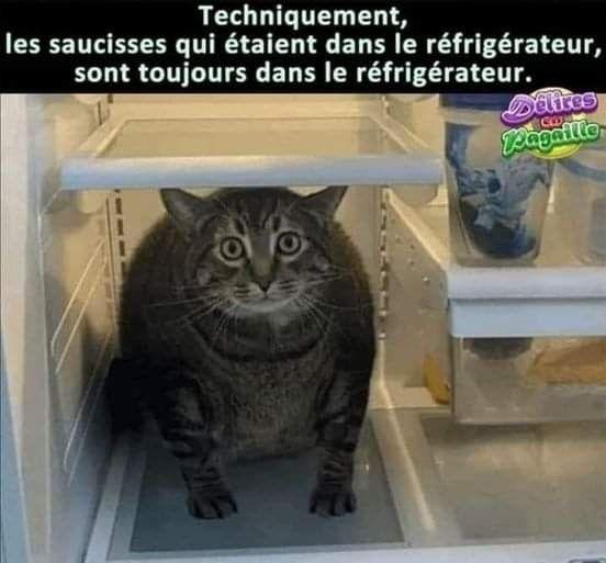 image.jpeg.752f9f8744fd463cc57413795b583afa.jpeg