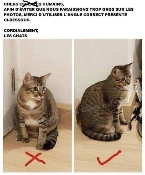 image.jpeg.834e278242593aba42369e84ecc08695.jpeg