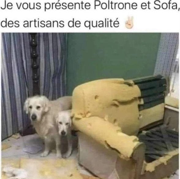 image.jpeg.8ca3c7b05da2c6d45f4870c7045f4283.jpeg