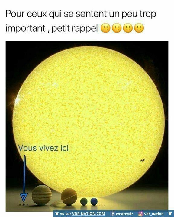 image.jpeg.d84ef9ffdf31fa65e0756a29534d0e48.jpeg