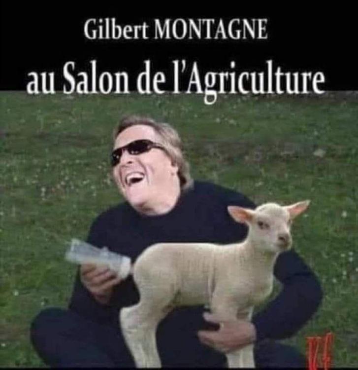 image.thumb.jpeg.258d65dc0ae9226e639af44f6d7424e7.jpeg