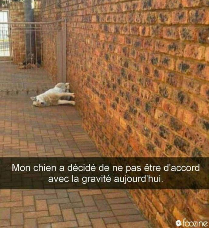 image.thumb.jpeg.2fa228cb221e183580dbd44045a3bc25.jpeg