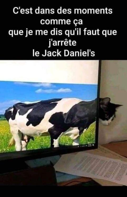 image.thumb.jpeg.43ca958f633a1ec5aa0b1bd97dc70fd0.jpeg