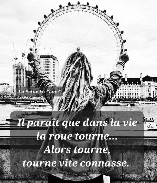 img_1_1759956436637.jpg
