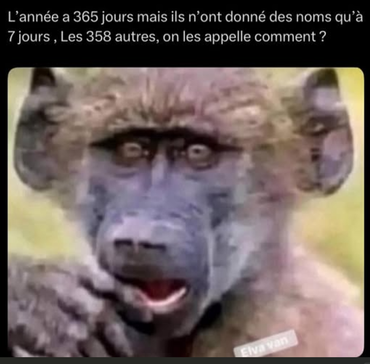 Capture d’écran 2025-12-06 162956.png