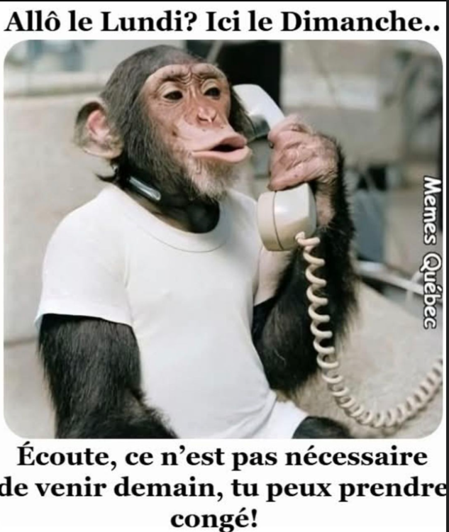 Capture d’écran 2026-03-15 195924.png