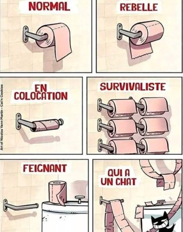 Capture d’écran 2026-04-14 141259.png