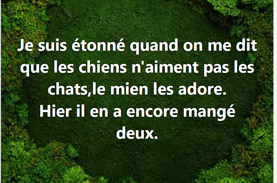Capturedcran2026-04-30132818.png.42b20d80c5020fc9a00846e1c3e4c766.png