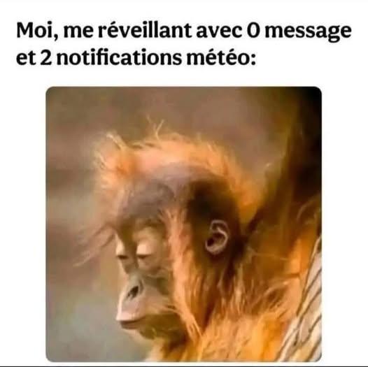 700956161_122233137836366522_2173033220502820085_n.jpg.99ff70cd64a863a63b52b3312dc1d39a.jpg