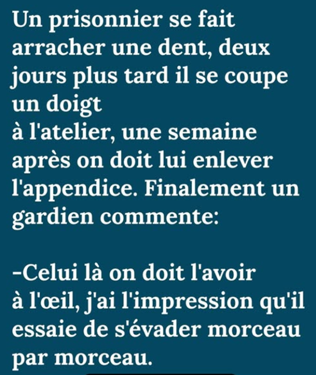 Capture d’écran 2026-05-19 195452.png