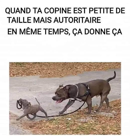 718045249_1554227022890422_4921651561761905054_n.jpg.d120ff30316f8c591e169bc11dd69d87.jpg