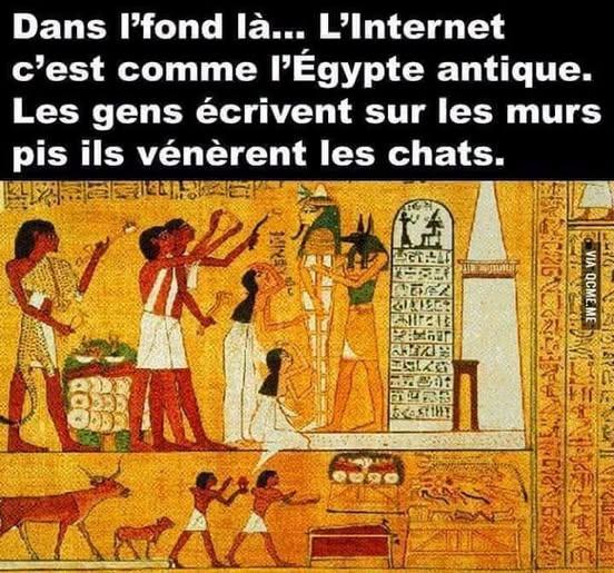 732441735_991758086958499_4020388788239619440_n.jpg.831cd6dadd66fba02c8da39e1afe7a04.jpg