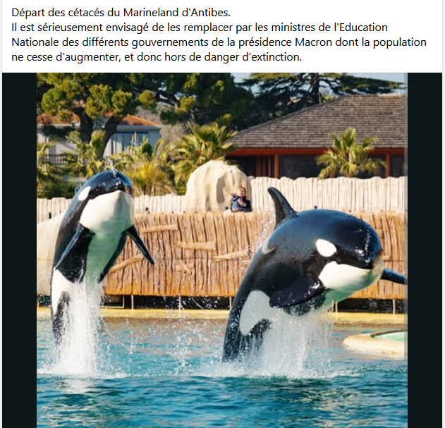 Capturedcran2026-06-19112027.png.0f1afe2f85037cf0ff5dffd52edfe7b2.png