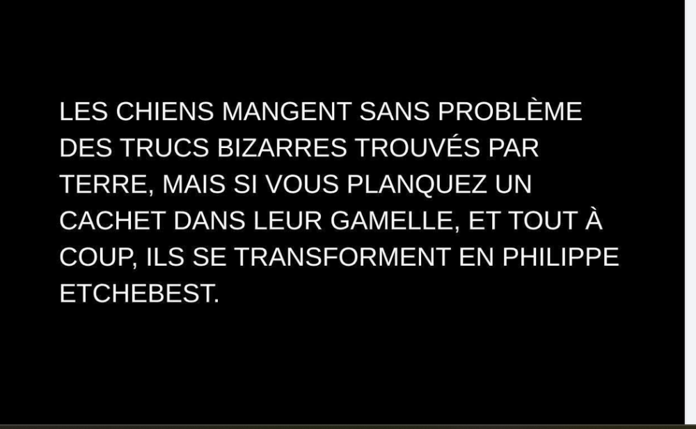 Capture d’écran 2026-07-02 233131.png