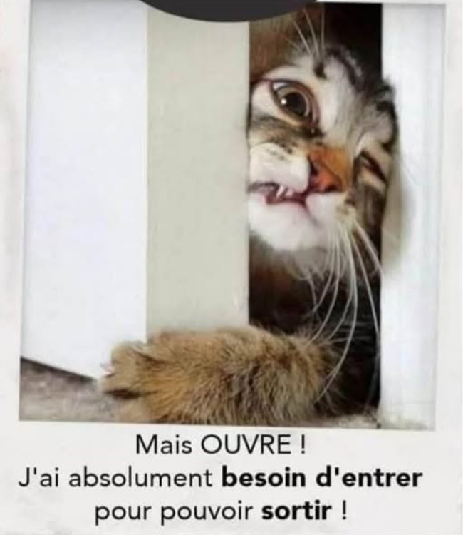 Capture d’écran 2026-07-18 202351.png