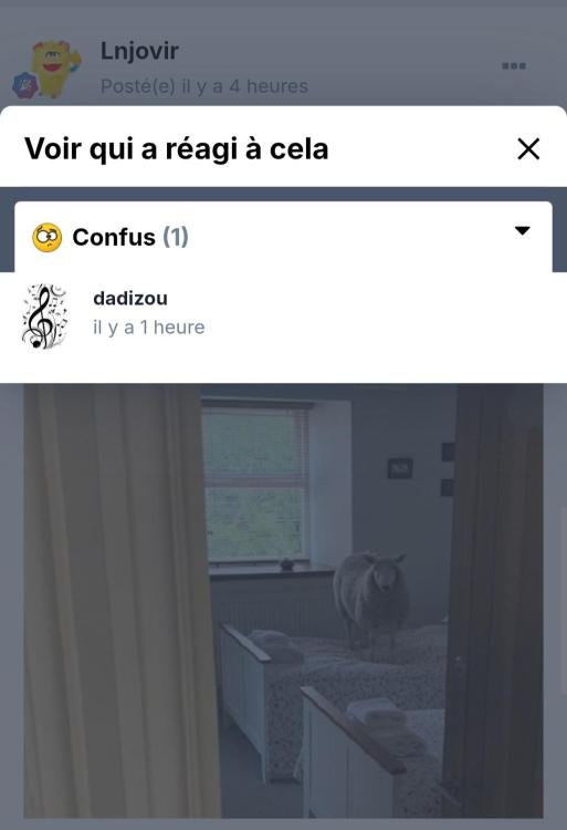 Screenshot_20260728_201740_Chrome.jpg