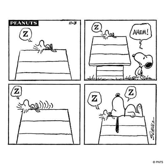 768592506_122106248817404617_3719334684691592357_n.jpg.7492e5ac480d4baf3d4f98d0a2bbf3ea.jpg