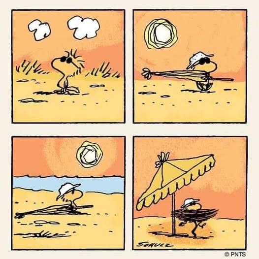 769144654_10164939336713328_4199465062287576657_n.jpg.51fae8f154518442fa8c26f9e3af3a20.jpg