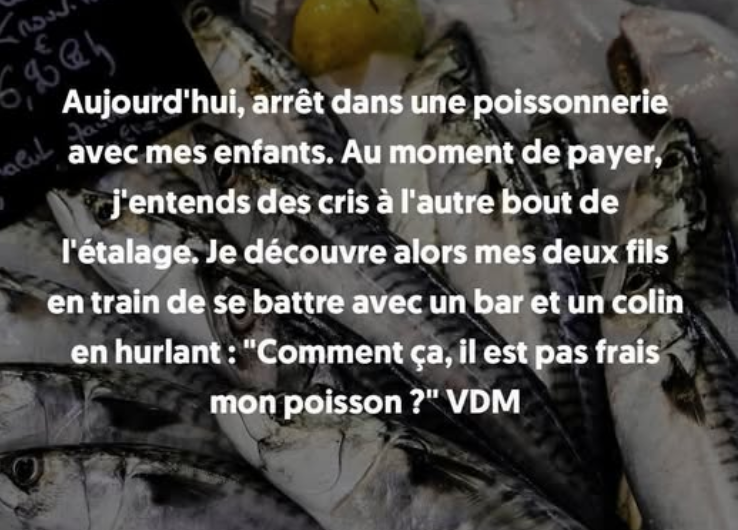 Capture d'écran 2025-05-31 161939.png