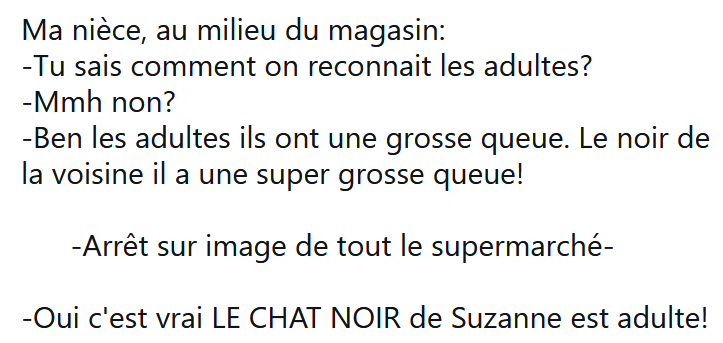 Capture d'écran 2025-06-12 210526.png