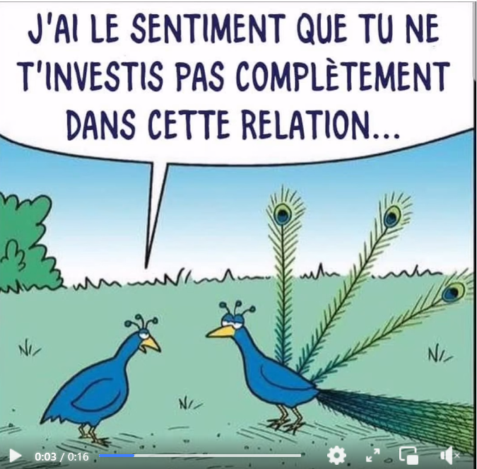 Capture d'écran 2025-06-14 151941.png
