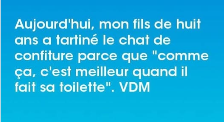 Capture d'écran 2025-07-27 110838.png