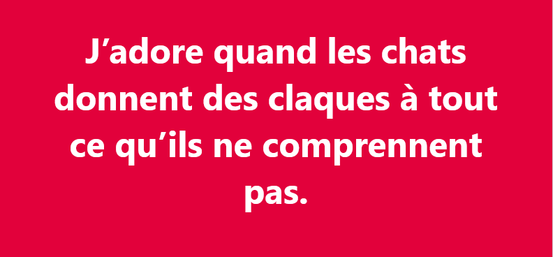 Capture d'écran 2025-09-10 225313.png