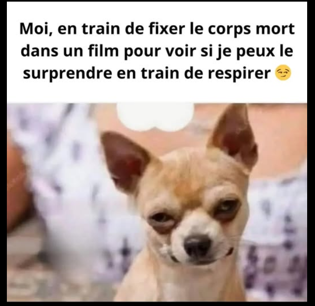 Capture d'écran 2025-10-08 022053.png