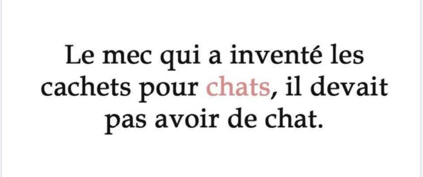 Capture d'écran 2025-10-08 142058.png