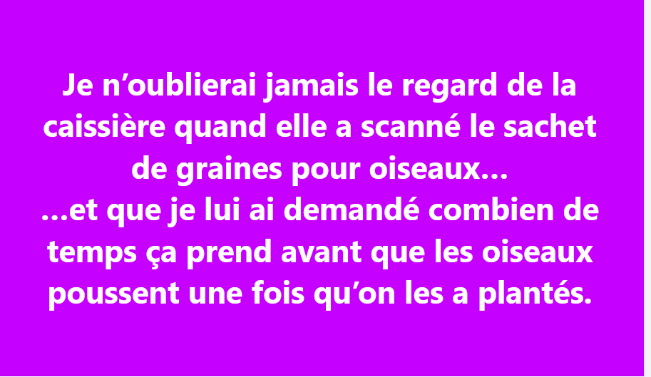Capture d'écran 2026-01-13 133104.png