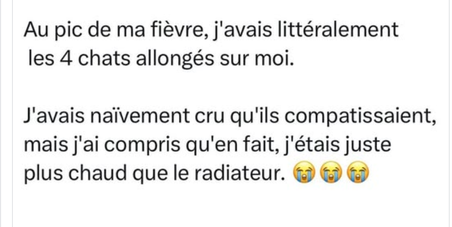 Capture d'écran 2026-01-18 131717.png